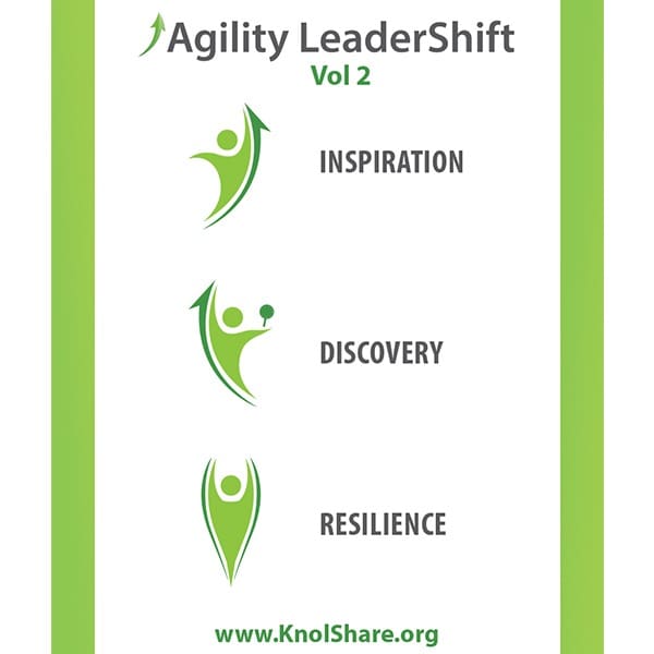 Agility Leadershift Cards Volume 2